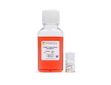 STEMdiff™脑类器官成熟试剂盒