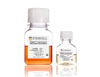 STEMdiff™前脑神经元分化试剂盒