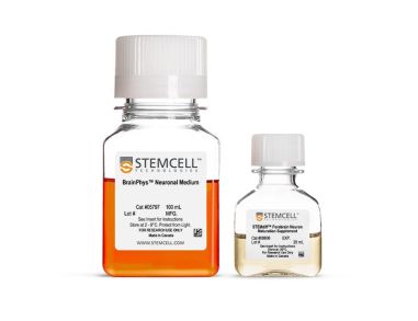 STEMdiff™前脑神经元成熟试剂盒
