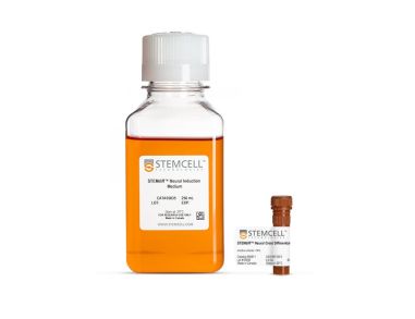 STEMdiff™神经嵴分化试剂盒