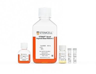 STEMdiff™背前脑类器官分化试剂盒