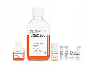 STEMdiff™腹侧前脑类器官分化试剂盒