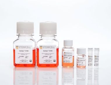 StemSpan™ T细胞生成试剂盒