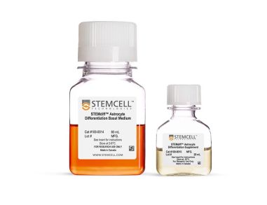 STEMdiff™星形细胞分化试剂盒