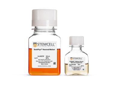 STEMdiff™中脑神经元成熟试剂盒
