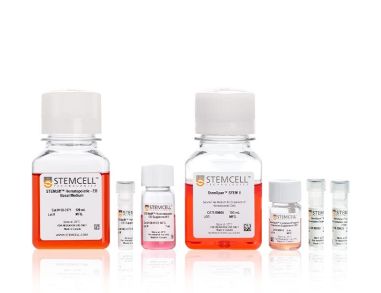STEMdiff™ NK 细胞分化试剂盒