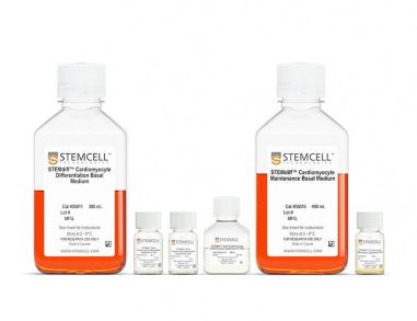 STEMdiff™心房心肌细胞分化试剂盒