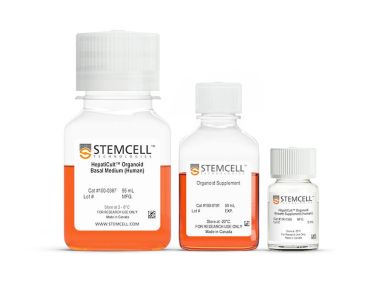 hepatcult™类器官起始培养基（人）