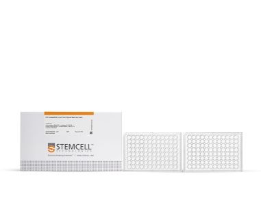 HTS Transwell®-96,0.4µm孔隙聚酯膜插入件