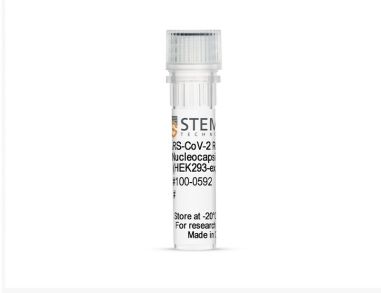 重组SARS-CoV-2核衣壳蛋白aa1-419 （HEK293表达）