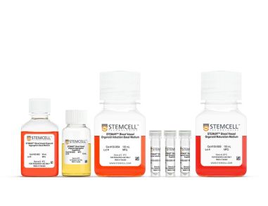 STEMdiff™血管类器官试剂盒