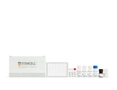 人SARS-CoV-2核蛋白IgG抗体ELISA Kit