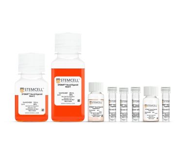 STEMdiff™脉络膜丛类器官分化试剂盒