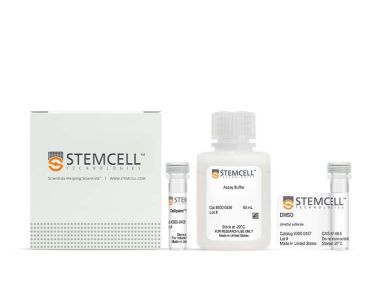 Cell Navigator™细胞质膜染色试剂盒