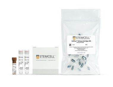 CellPore™转染试剂盒