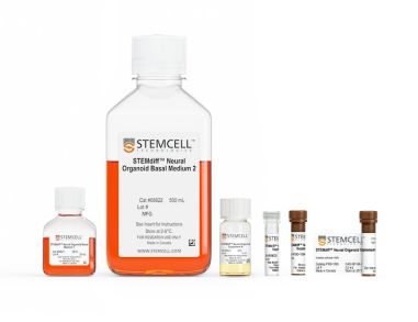 STEMdiff™中脑类器官分化试剂盒