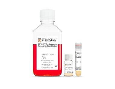 STEMdiff™心肌细胞扩增试剂盒