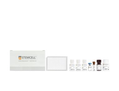 人IL-22 ELISA Kit