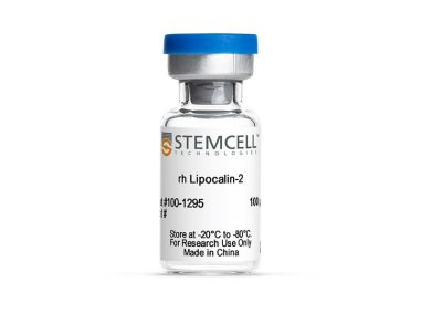 人重组Lipocalin-2