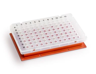 96孔PCR微孔板磁铁