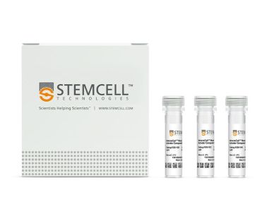 ImmunoCult™小鼠T细胞激活剂试剂盒