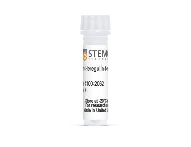 人重组Heregulin - beta 1，ACF