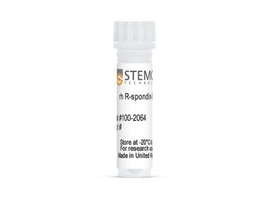 人重组R-spondin-3，ACF