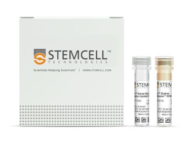 EasySep™人初始CD4+ T细胞分选试剂盒II