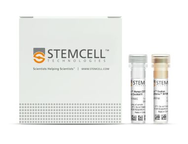 EasySep™人CD56阳性选择试剂盒II