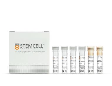 EasySep™人中枢和效应记忆CD4+ T细胞分离试剂盒