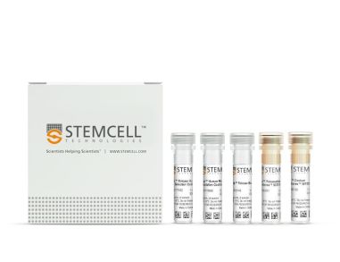 EasySep™人中枢和效应记忆CD8+ T细胞分离试剂盒