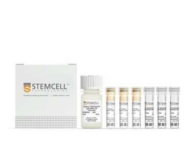 EasySep™HLA嵌合全血CD4阳性选择试剂盒