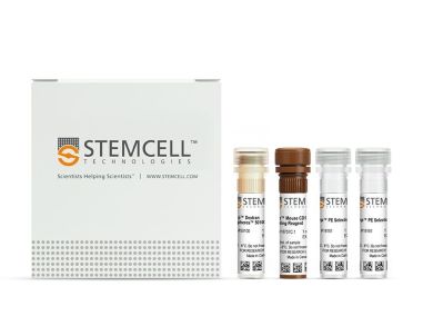 EasySep™小鼠CD117 （cKIT）阳性选择试剂盒