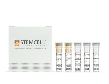 EasySep™小鼠CD4+CD62L+ T细胞分离试剂盒
