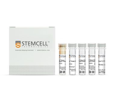 EasySep™小鼠CD4阳性选择试剂盒II