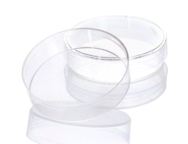 Corning® 60 mm 带网格培养皿