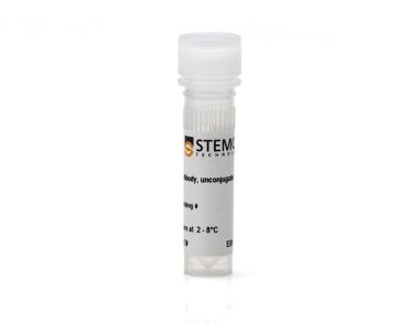 大鼠IgG1 (kappa Isotype Control Antibody，克隆RTK2071