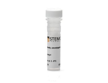 抗人β -微管蛋白III抗体克隆2G10-TB3