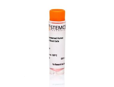 冻存的人脐带血CD4+CD45RA+ T细胞