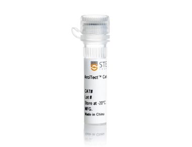 architect™Cas9核酸酶