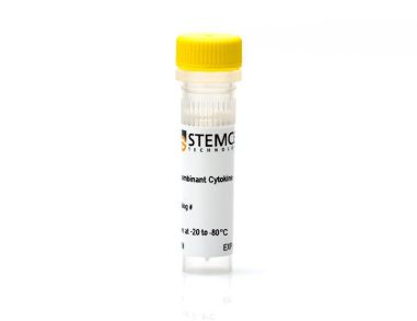 重组大鼠GM-CSF