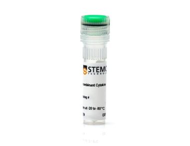 小鼠重组IL-1 β