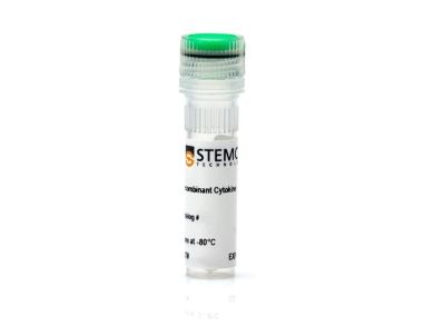小鼠重组VEGF-164
