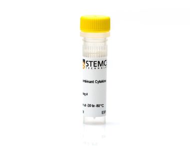 人/小鼠重组GDF-11