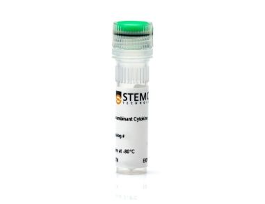 小鼠重组SDF-1 α （CXCL12）