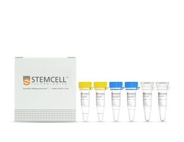 STEMscript™cDNA合成试剂盒，含Oligo（dT）引物