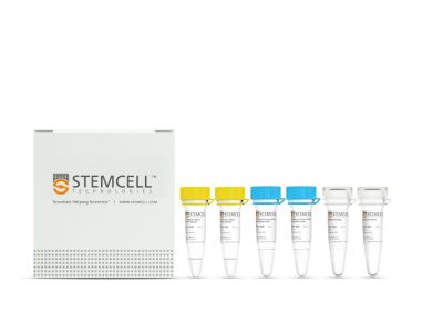 STEMscript™随机引物cDNA合成试剂盒