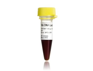 DNA梯